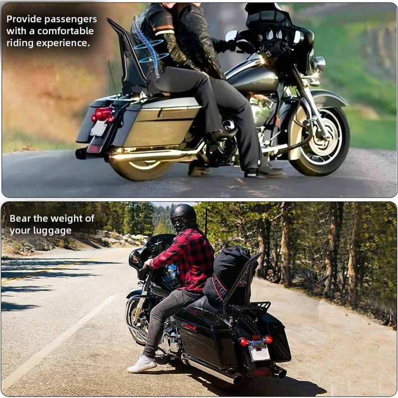 DREAMIZER Detachable Passenger Backrest Glossy Black Quick Release Sissy Bar