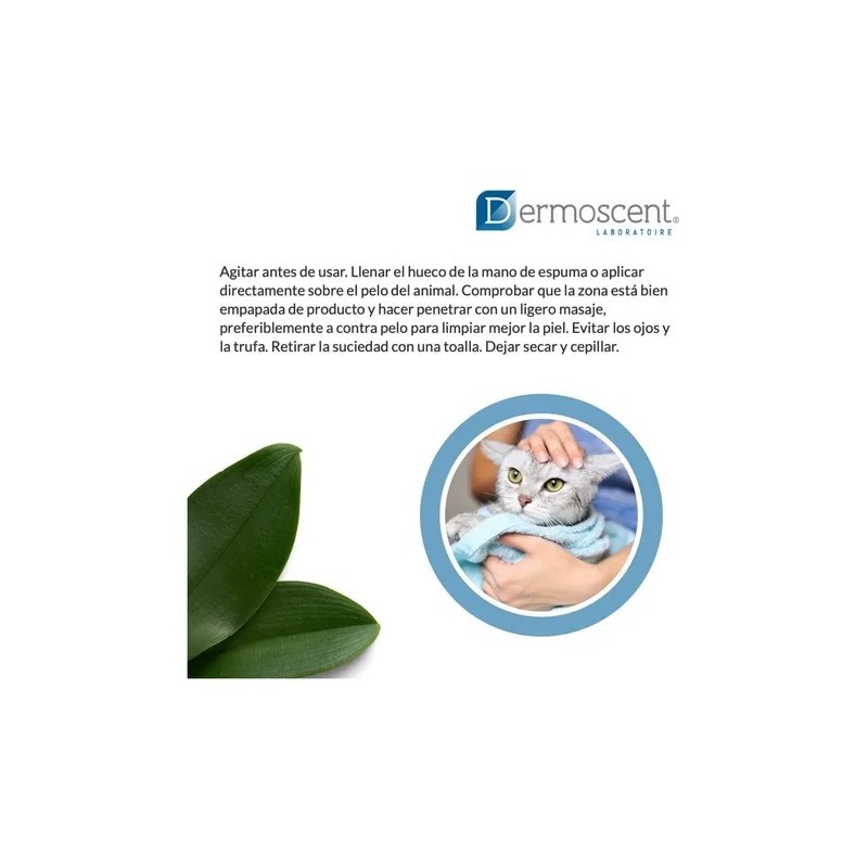 Espuma Para Baño En Seco Para Gatos 150 Ml, Dermoscent