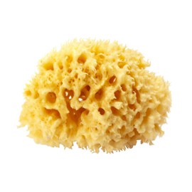 OkBaby Islands Sponge, Size 12