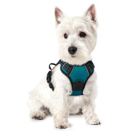 rabbitgoo Dog Harness for Small Dogs, Anti-pull Harness with Control, No-Pull, Adjustable Harness for Large Dogs, Breathable, With Reflective Stripes, Chest Harness, Dog Safe Walking, Dark Green, XS