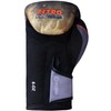 Farabi Kids Boxing Gloves Junior Warrior Series Training Gloves (6-oz)
