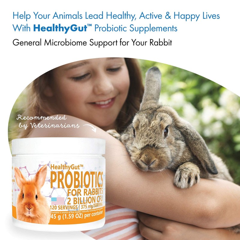 Equa Holistics HealthyGut Probiotics for Rabbits Dietary Supplement, All-Natural Digestive