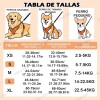 Pecheras Arnes Perro Apto Para Todo Tipo De Cuerpo Ajustable