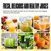 Ventray Ginnie Mini Cold Press Juicer, Small Slow Masticating Juicer