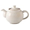 Koyo Pottery 20728 Teapot, Japanese Tableware, Small Pot, Mino Ware,