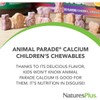 네이쳐스플러스 에니멀퍼레이드 어린이용 츄어블 칼슘 바닐라선데 맛 90정 Natures Plus