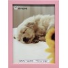 Iwata JOA-A4-P Picture Frame, OA Frame, Resin, Pink