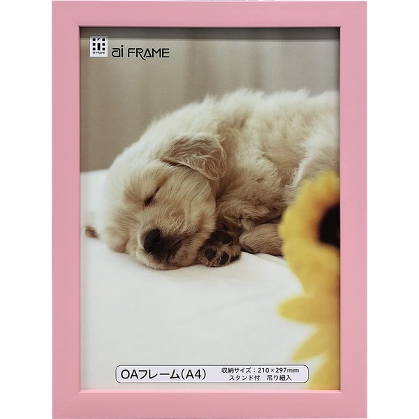 Iwata JOA-A4-P Picture Frame, OA Frame, Resin, Pink