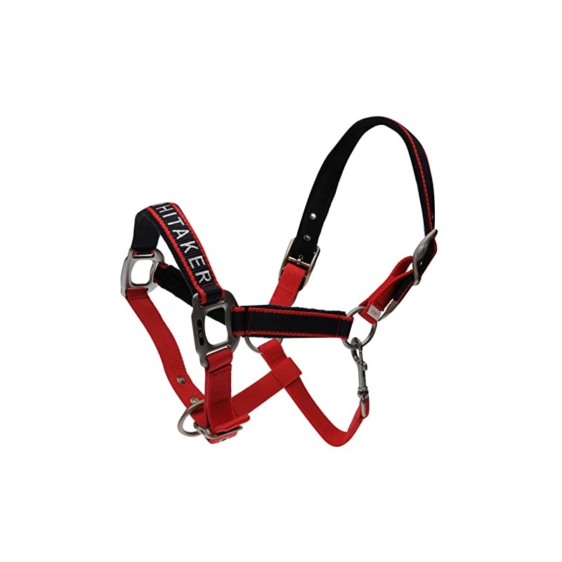 John Whitaker Unisex Padded Head Collar Red/Navy Pony