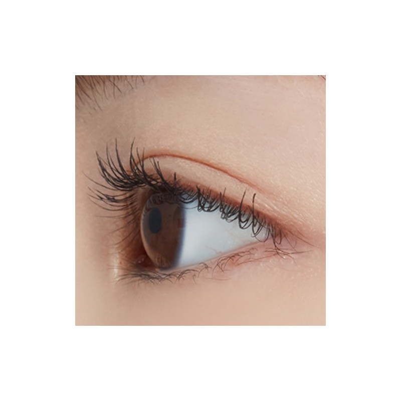 ETUDE [NEW] ETUDE Dr. Mascara Fixer 6g - #02 Black
