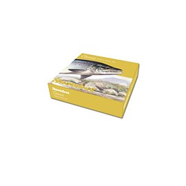 Snowbee Classic CF5I Intermedicate Line - Mid Blue, 90 ft