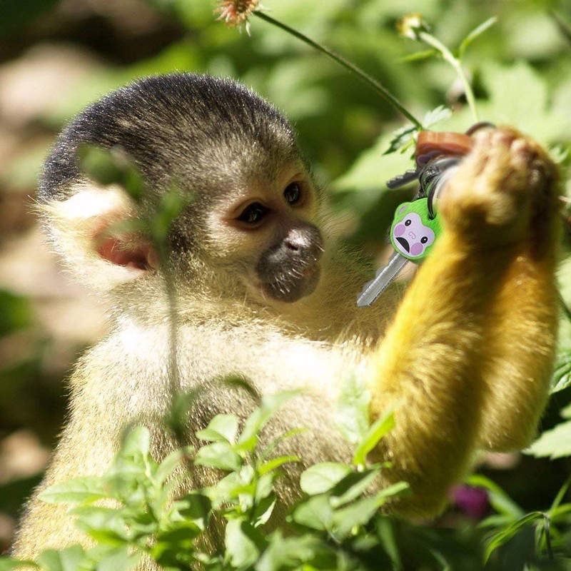 LHKJ Set of 6 Cute Monkeys Key Caps, multicoloured