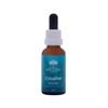 Australian Bush Flower Essences Creative Drops