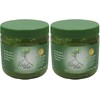 Gel fijador de cabello a base de Romero y SÃƒ¡bila