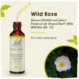 Original Bach flower drops.