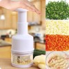 Stainless Steel Garlic Press and Onion Chopper - Manual Vegetable
