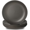Tikooere Dinner Plates Set of 4, 10 Inch Ceramic Plates