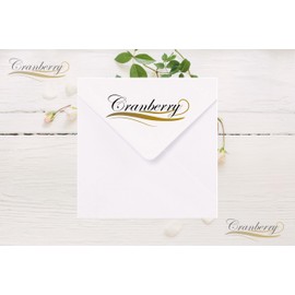 10 White Envelopes Gummed 100gsm. Suitable for Greetings Cards, Birthday, Christmas, Office/Business, Invitations, Letters and Everyday use. (6.5x6.5 165mm x 165mm)
