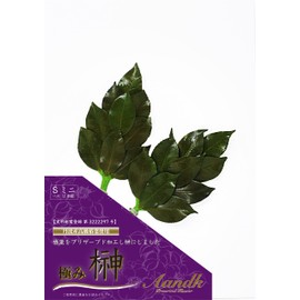 Super Sakaki Mini S (No Artificial Flowers) Preserved Sakaki (Uses Camellia Leaves) < Utility Model Registration No. 3222297 > Domestically Made Handmade, Handmade, Non-Withering, Camellia, Sakaki, One Pair Mini Size, No Watering Required, Obon