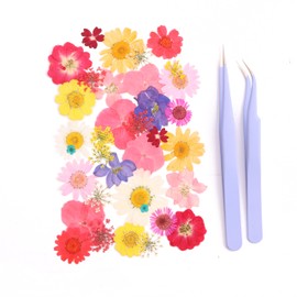 Caiyjhao 35PCS Resin Pressed Dried Flowers with Tweezers, Real Natural Flowers Christmas DIY soap vase Candle Making Nail Card Scrapbook Art Craft Flower Decoration (Spring Fantasy)