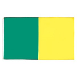 AZ FLAG - Flagge Grün Und Gelb - 90x60 cm - Irish County Fahne 100% Polyester mit Messing-Ösen - 50g