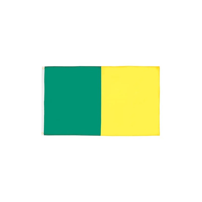 AZ FLAG - Flagge Grün Und Gelb - 90x60 cm