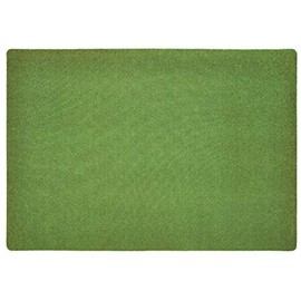 Carpets for Kids Soft Solids KIDply Grass Green Rectangle Kids Rug Size: 6' x 9',