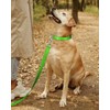TagME Nylon Dog Collar, Adjustable Reflective Dog Collar with Safety