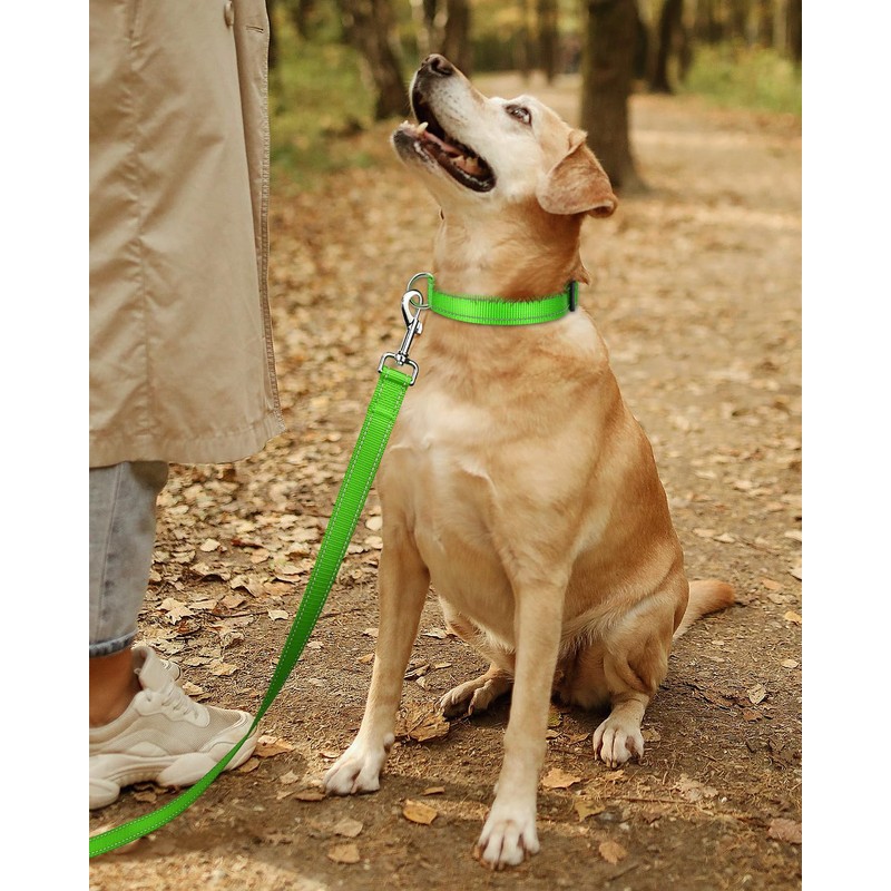 TagME Nylon Dog Collar, Adjustable Reflective Dog Collar with Safety