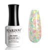 RARJSM Glitter Gel Nail Polish Pink Yellow Green Patel Spring