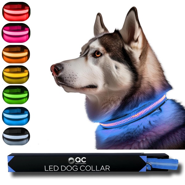 QC LED Light Up Dog Collar - Bright, Reflective, and