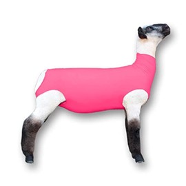 Show Pro Pink Spandex Lamb Tube for Show Sheep & Lamb - Show Livestock Supplies: Sheep Covers & Blankets (Medium)