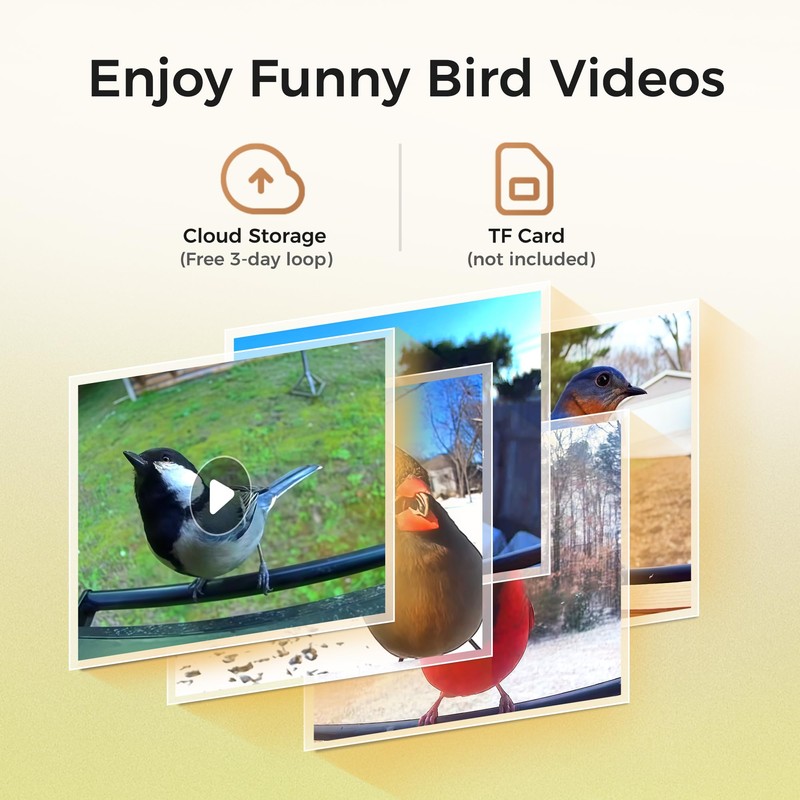 TT Nature Upgrade Squirrel-Proof Bird Feeder with Camera, Solar Powered,