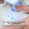 Pet Nail Clipper with LED Light, Cat Claw Trimmer with