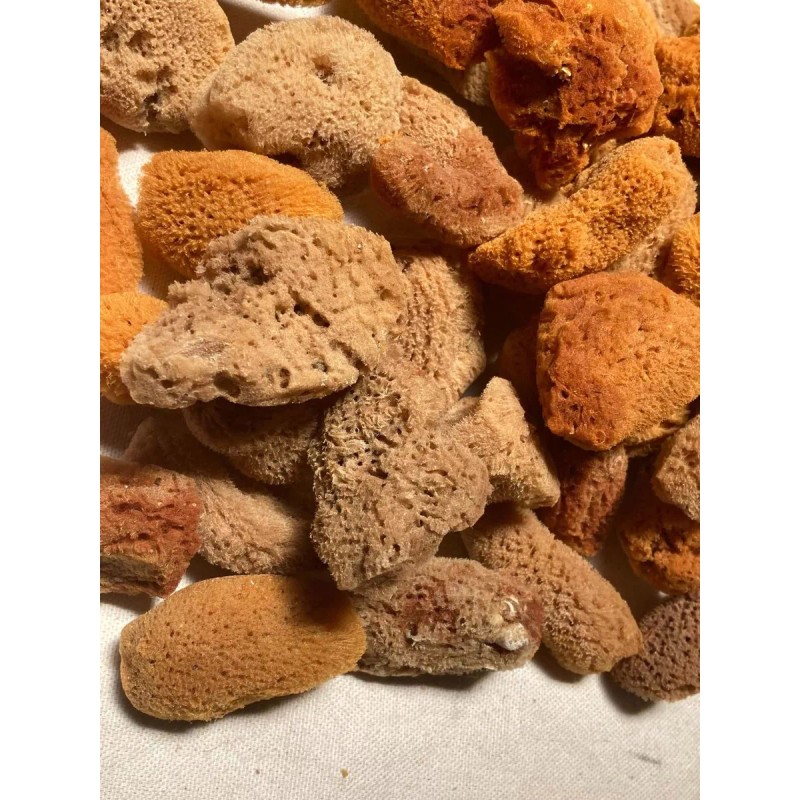 LOS MORALES SOUVENIRS Mini Esponjas Naturales. Cosmeticos. 50 Pzas #24