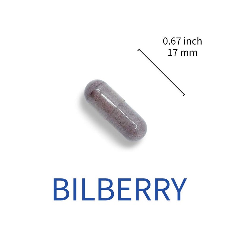 ビルベリーエキスカプセル｜ビルベリーエキス6000mg相当｜アントシアニン25%高含有ビルベリーエキス｜60カプセル