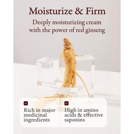 Sooryehan Sooryehan Boyun Luxury Korean Skin Care Gift Set (5.24 fl oz) - Red Ginseng Toner, Emulsion, Cleansing Foam & Moisturizer Cream by LG Beauty