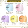 NailRecipe E1-5 Nail Gel Nail Color Gel Set of 5