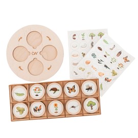 zalati Life Cycle Tray Kit Flash Cards Toy Montessori with Wooden Plate for Educational & Fun Matching Game for Children 3+