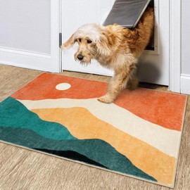 Sungea Abstract Indoor Door Mat 2x3 Rug, Low Pile Boho Bathroom Rugs Non Slip Washable Rugs for Entryway, Foldable Super Soft Faux Wool Throw Rug for Bedroom Entrance(Colorful)