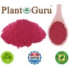 Red Beet Root Powder 5 lbs. Bulk Beta Vulgaris Nitric