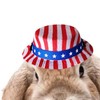 2Pcs Pet Independence Day Costume Pet 4th of July Guinea
