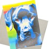 Black Labrador Retriever Greeting Card with Envelope (5X7 Inches and