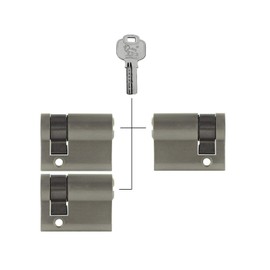 3x Half Cylinder Adjustable 40 mm 30/10 Simultaneous Locking Including 15 Keys