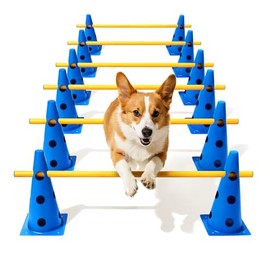 Dog Agility Course Backyard Set, Dog Agility Hurdle Cone Set with Height Adjustable Crossbar for Rehabilitation & Beginners, Dog Agility Equipment for Dog Obstacle Course - 12 Inch