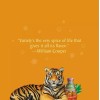 Celestial Seasonings Bengal Spice 20 Count x 3 packs Celestial