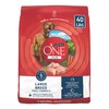Purina ONE Plus Large Breed Adult Dog Food Dry Formula,