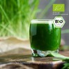 Effective Nature Barley Grass Juice Powder – Organic 200 g