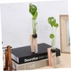 Alipis Decorative Wall Hanging Propagation Stations 2 Sets of Test