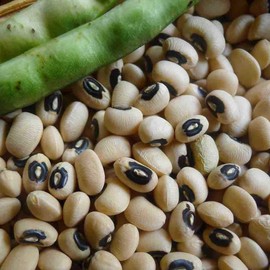 California Blackeye Cowpea Bush Bean Seeds, 50 Heirloom Seeds Per Packet, Non GMO Seeds